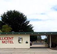Millicent Motel - Flights