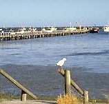 Seaview Motel and Holiday Units - Flights