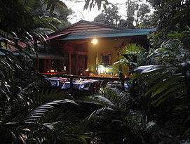 Daintree Rainforest Retreat Motel - Flights 4
