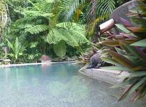Daintree Rainforest Retreat Motel - Flights 5
