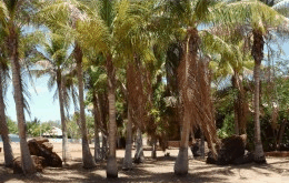 King Sound Resort Hotel - Flights