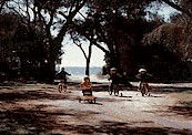 Acacia Caravan Park - Flights 4