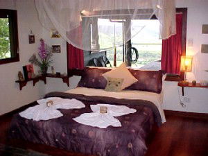 Daintree Cloud 9 - Flights 0