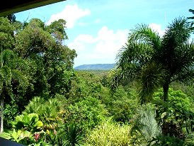 Daintree Manor - Flights 3