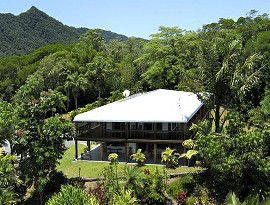 Daintree Manor - Flights 4