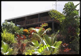 Daintree Manor - Flights 5