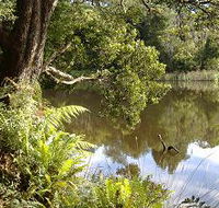 Weldborough Camping Ground - Flights