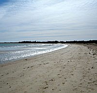 Greens Beach Caravan Park - Flights