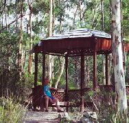 Telopea - Flights