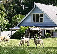 Hide-Away Cottage Retreat - Flights