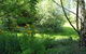 Arcadia Holiday House - thumb 5