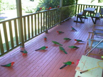 A Little Bit Of Heaven - Holiday Home - Flights 8