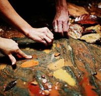 Daintree Eco Lodge And Spa - Flights