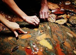 Daintree Eco Lodge And Spa - Flights 0