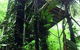 Daintree Eco Lodge And Spa - thumb 1