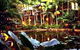 Daintree Eco Lodge And Spa - thumb 3
