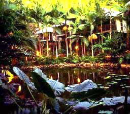 Daintree Eco Lodge And Spa - Flights 3