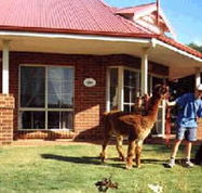 Brilea Cottages - Flights
