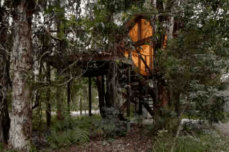 Wanderers Retreat Port Stephens - Flights