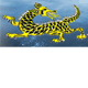 Dragon Phoenix Motel amp Restuarant - Flights