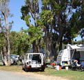 Elliston Caravan Park - Flights