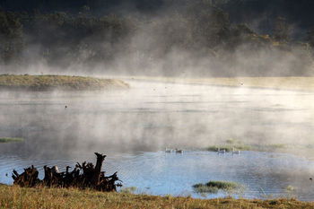 Yabbaloumba Retreat - Flights 16