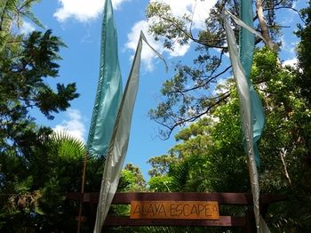 Alaya Escape - Flights 56