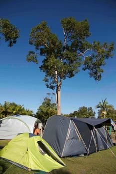 BIG4 Solitary Islands Resort - Caravan Park - Flights 26