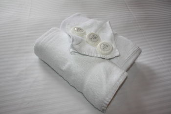 Annandale Hotel - Flights 1