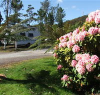 Zeehan Bush Camp  and Caravan Park - Flights