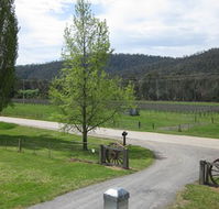 Glenmore Springs Accommodation - Flights