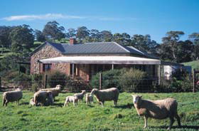 Amanda Stichbury Cottage - Flights 0