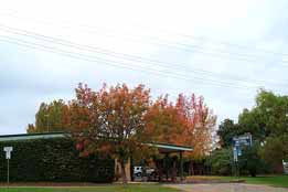 Allambie Motel Pty Ltd - Flights 0
