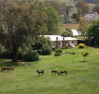 Acacia Park Farm House - Flights