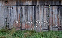 Pillar Rock Farm - Flights 2