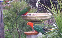 Valley View Motel Murrurundi - Murrurundi - Flights 4