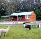 Moorallie Cottage Farm Stay - Flights