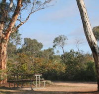 Drummonds Camp at Avon Valley National Park - Flights