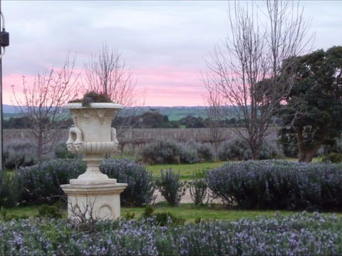 Angas Plains Estate Wines Heritage Suite - Flights 4