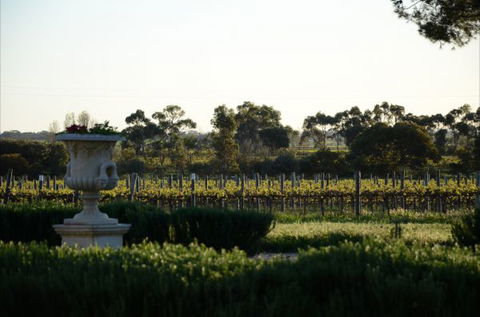 Angas Plains Estate Wines Heritage Suite - Flights 6