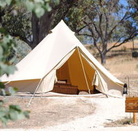 Cosy Tents - Flights