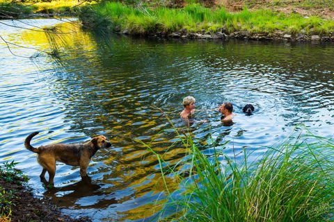 Terania Green Boutique Eco Cottages - Flights 4
