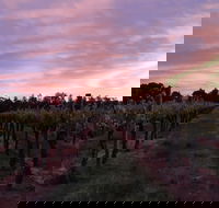 Milawa Vineyard Views - Flights