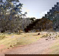 The Pines campground - Flights