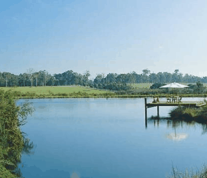 Forest Rise Eco Retreat - Flights