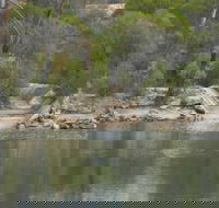 Boondi Rock Camp at Goldfields Woodlands National Park - Flights