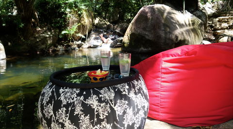 Daintree Secrets Rainforest Sanctuary - Flights 1