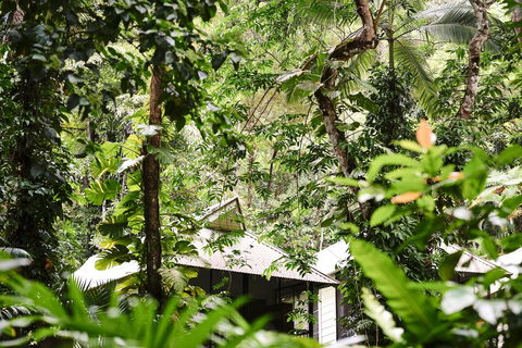 Daintree Ecolodge - Flights 0