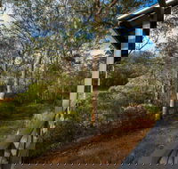 Wollombi Bush Retreat - Flights
