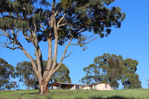 Clare View Accommodation - Clare View Cottage - Flights 2